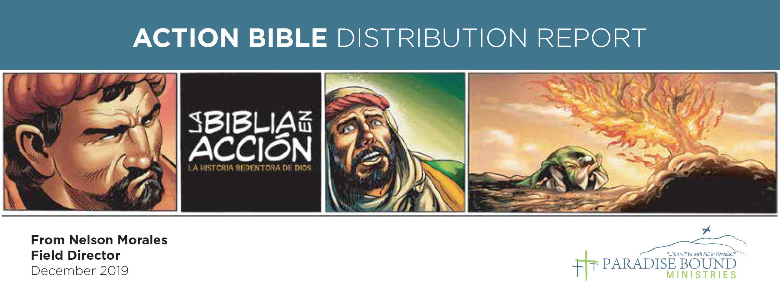 Action Bible Monthly Report
