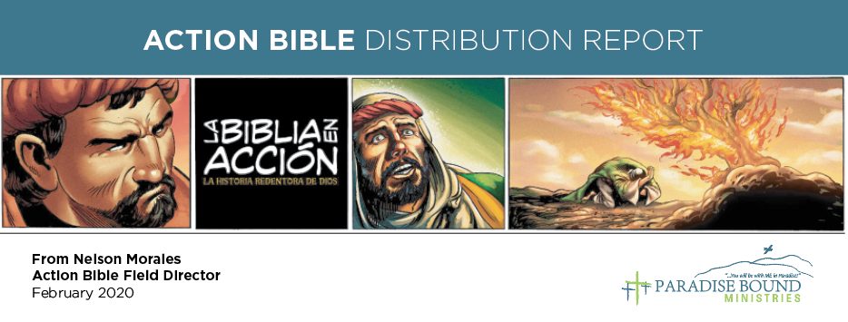 Action Bible Monthly Report