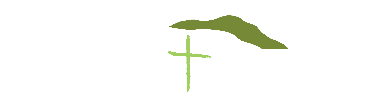 Paradise Landing Logo